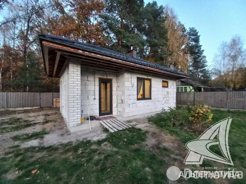 купить дом, Петровичи,