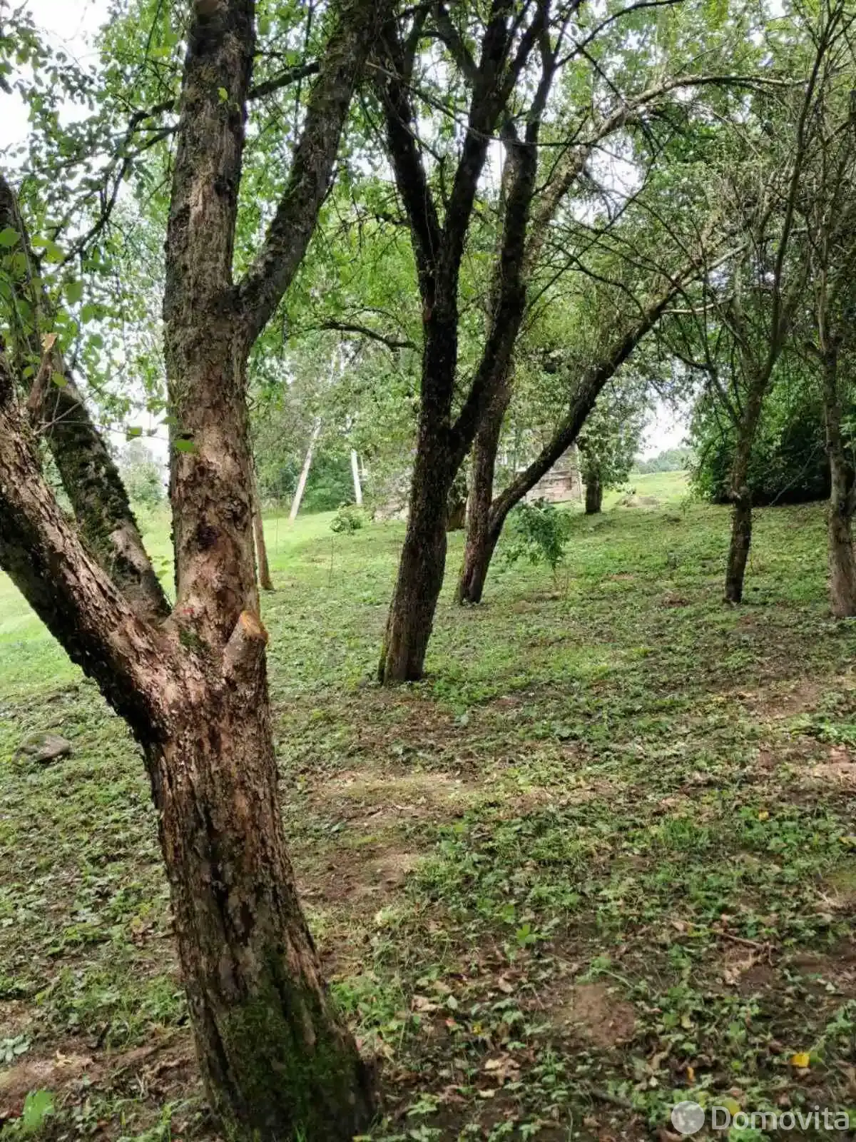 коттедж, Крапивники, ул. Лесная 