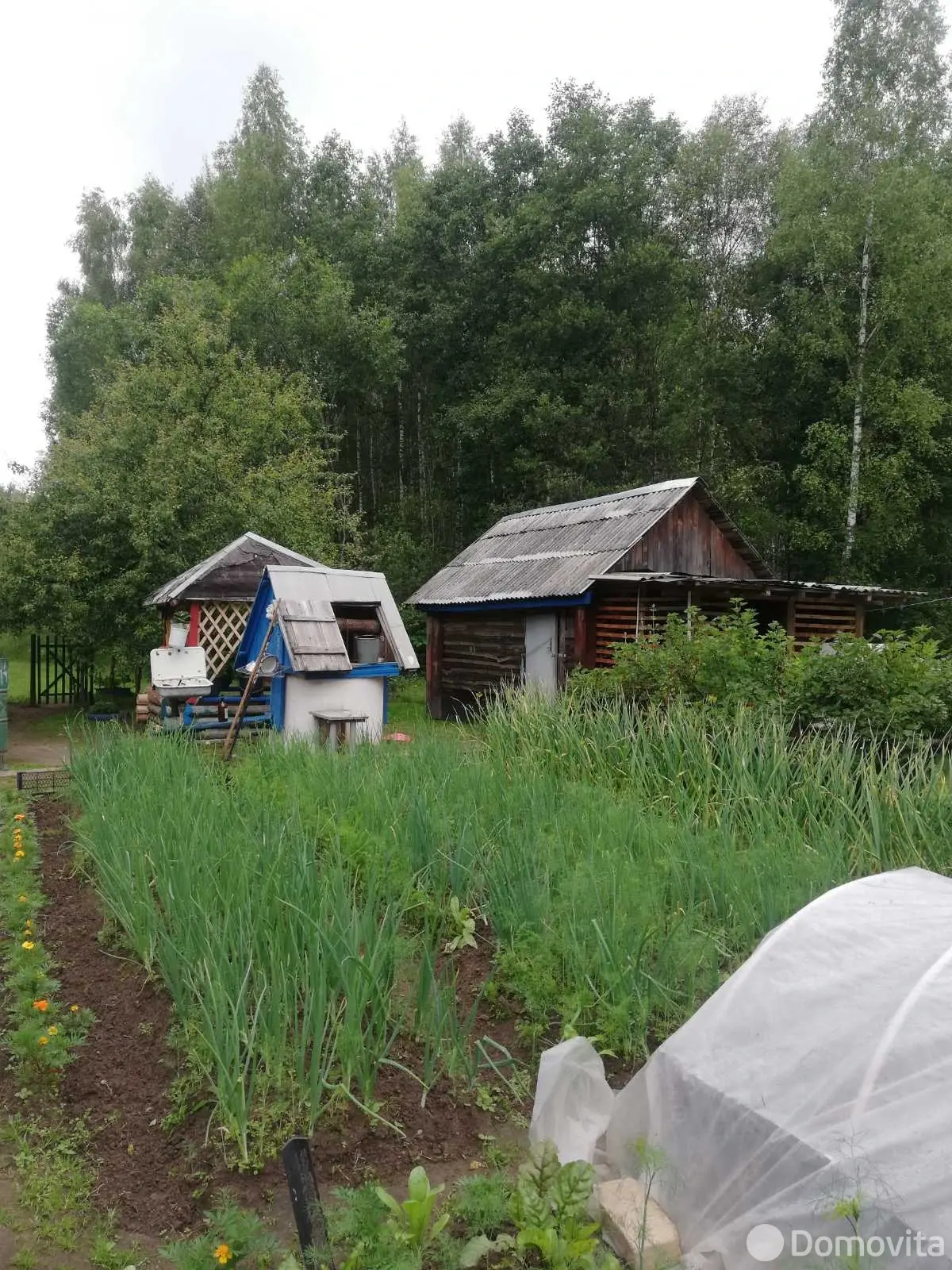 Продажа 1-этажной дачи в Подозерцах Витебская область, 3200USD, код 183910 - фото 12