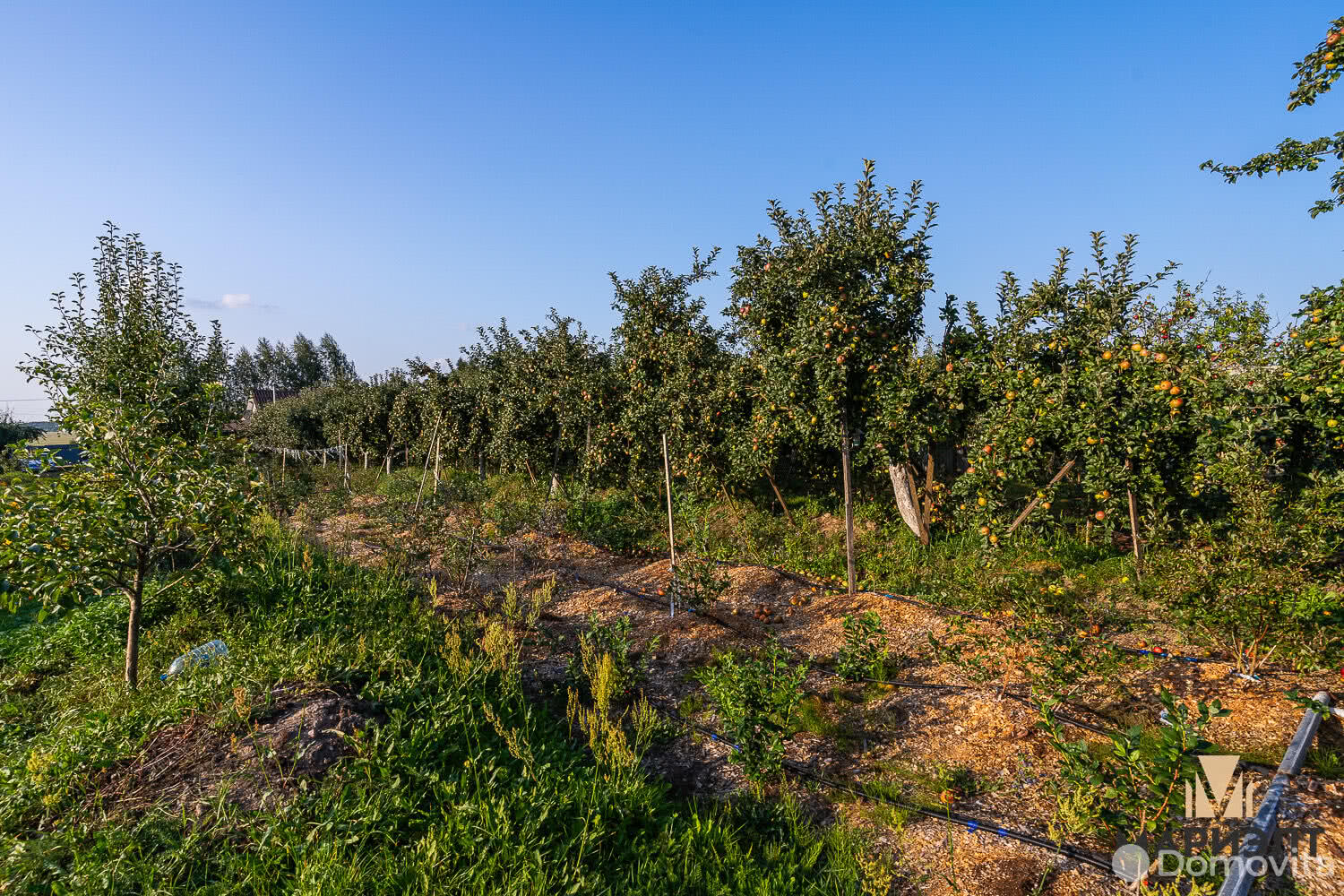 продажа дома, Жирмоны 1, ул. Центральная