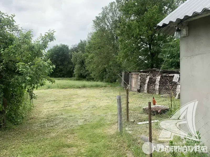 дом, Пелище, 