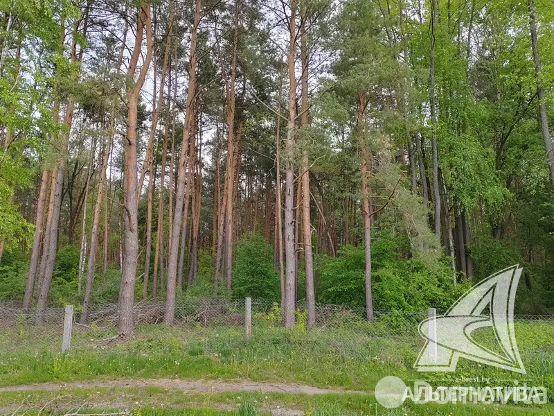 Купить 2-этажную дачу в Березовая роща-87 Брестская область, 59000USD, код 182777 - фото 19