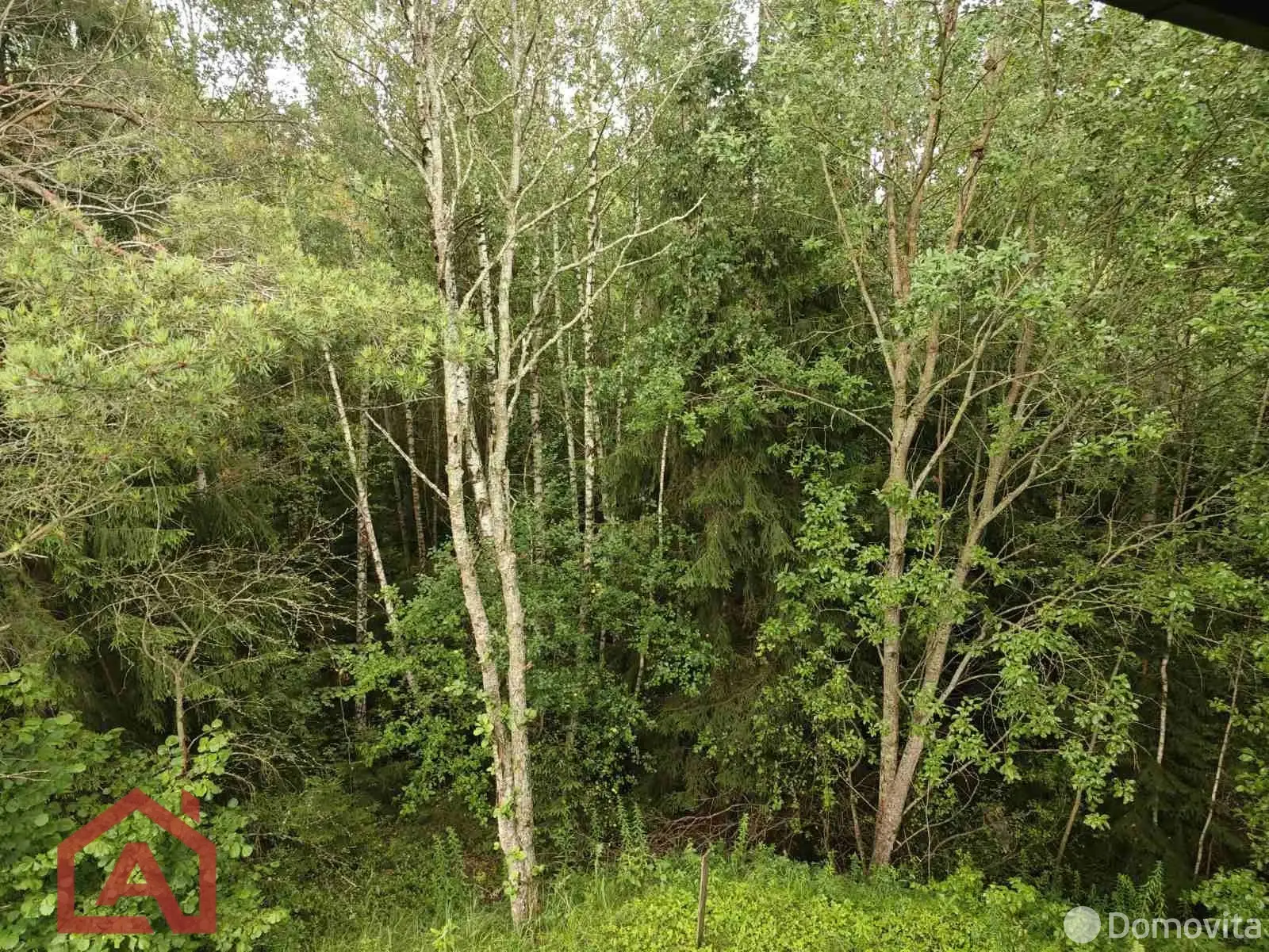 Стоимость продажи участка, Мончаки, ул. Лесная