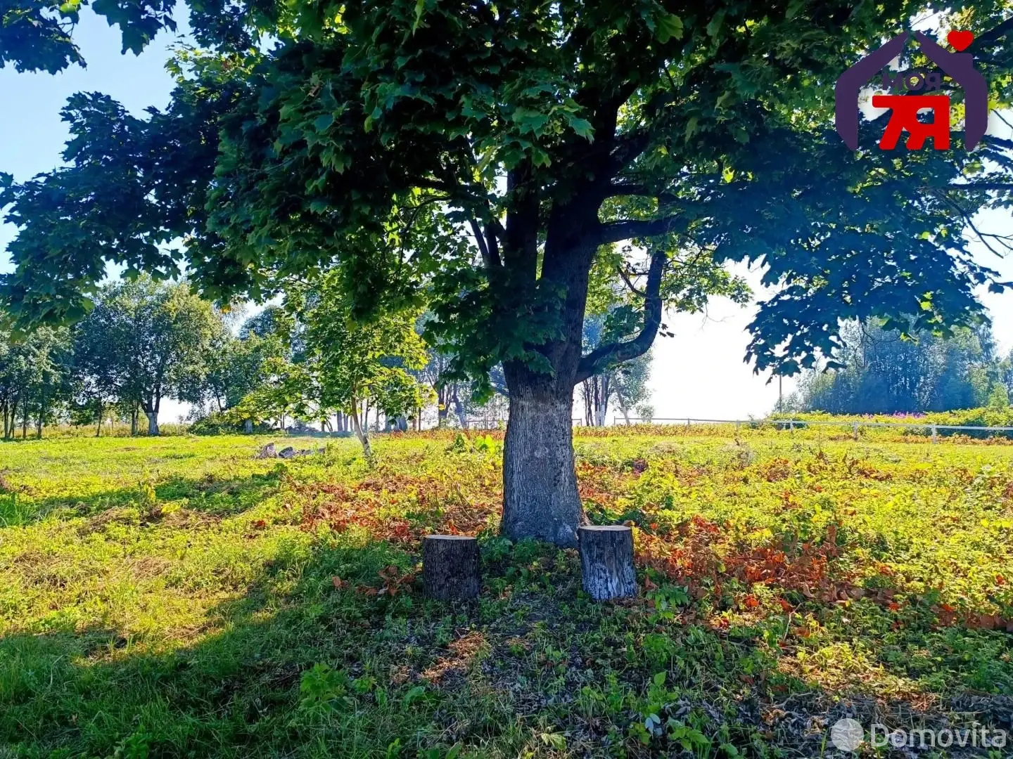 участок, Гиревичи,