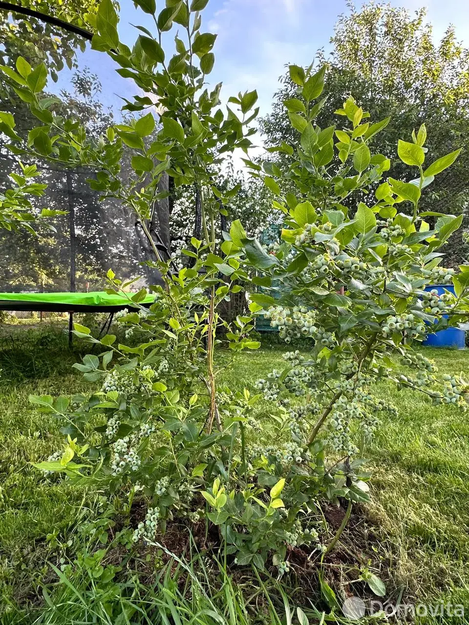 Купить 1-этажную дачу в ВЯСЕЛКА-1990 Минская область, 13400USD, код 183853 - фото 17