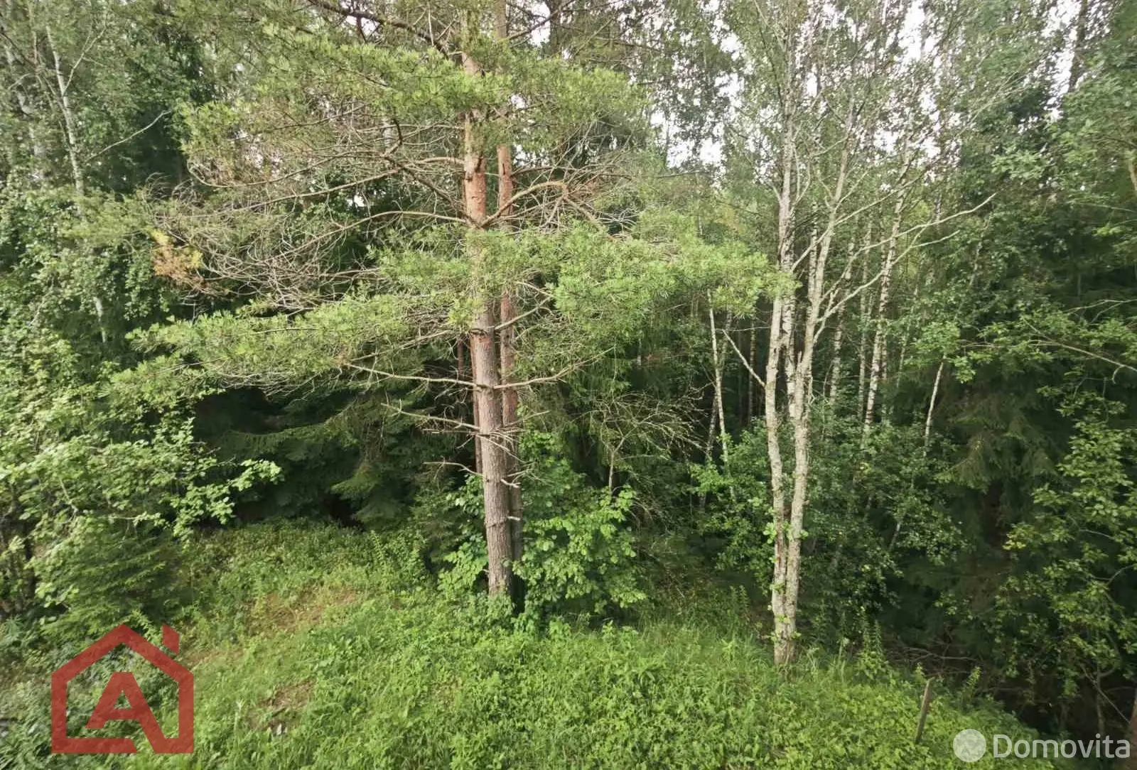 Стоимость продажи участка, Мончаки, ул. Лесная