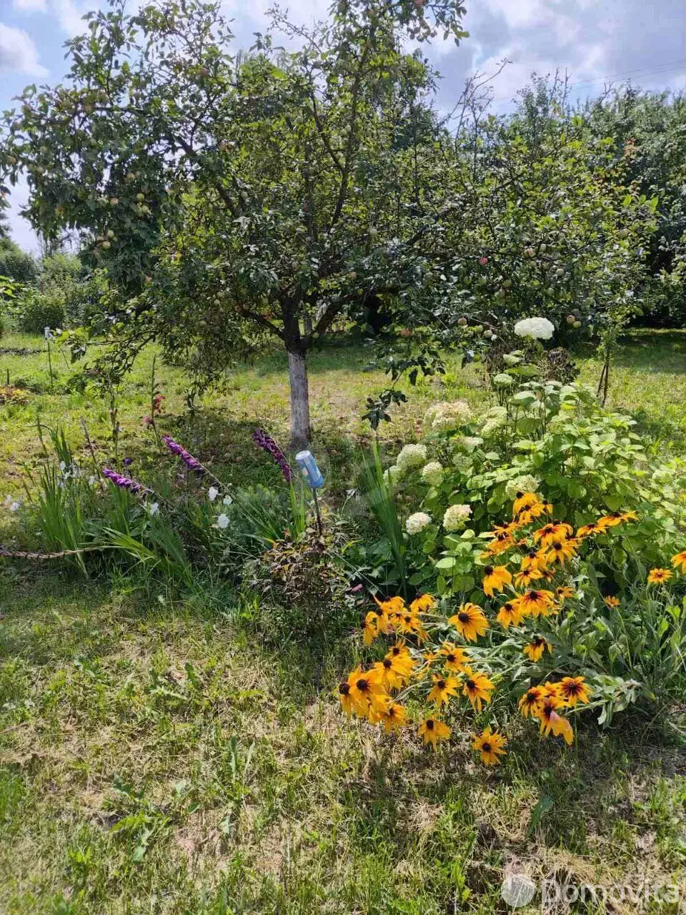 купить участок, Мара,