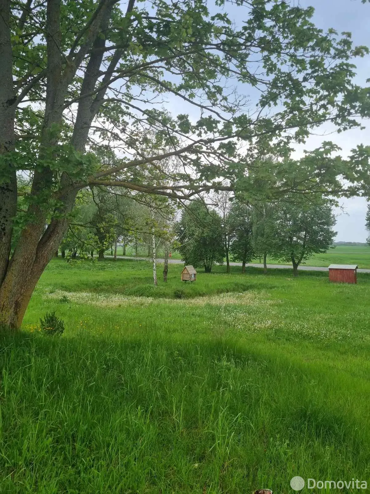 участок, Вядерево, ул. Мира