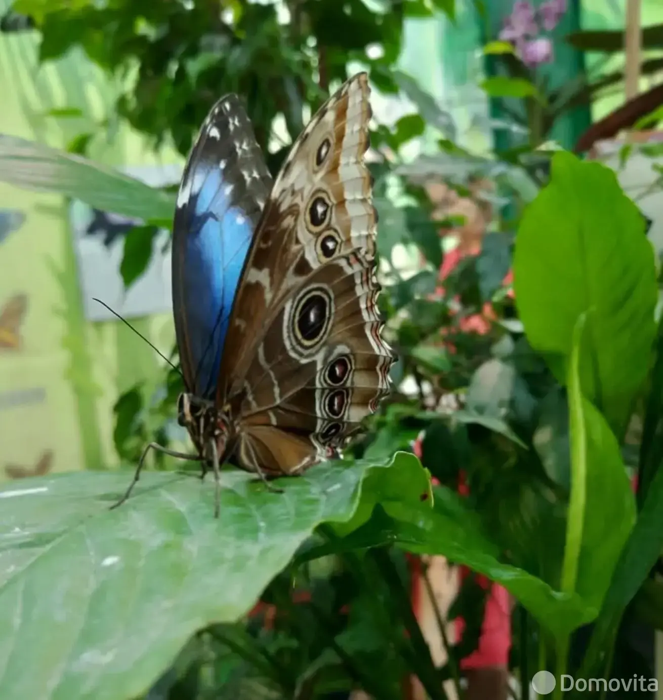 Купить помещение под сферу услуг в Минске, ул. Кирилла Туровского, д. 16 - фото 32