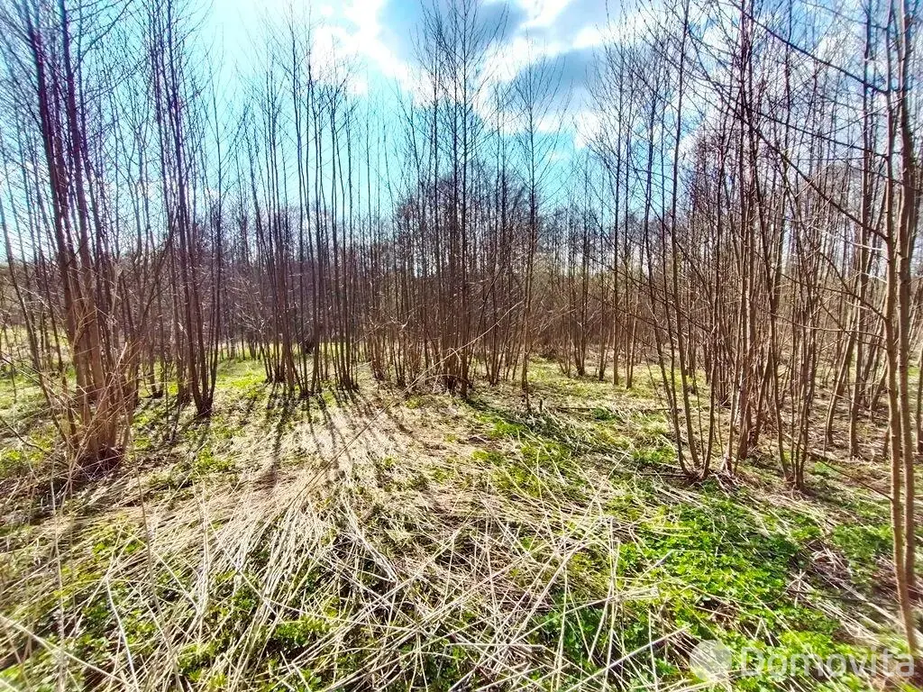 Стоимость продажи участка, Демидовичи, ул. Садовая, д. 31