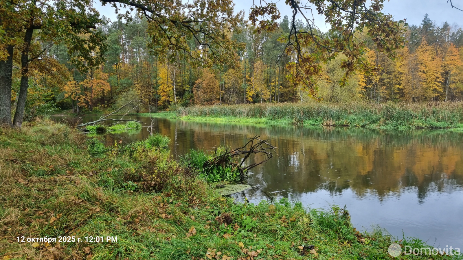 Купить 1-этажную дачу в Великом Поле Минская область, 21000USD, код 185294 - фото 23