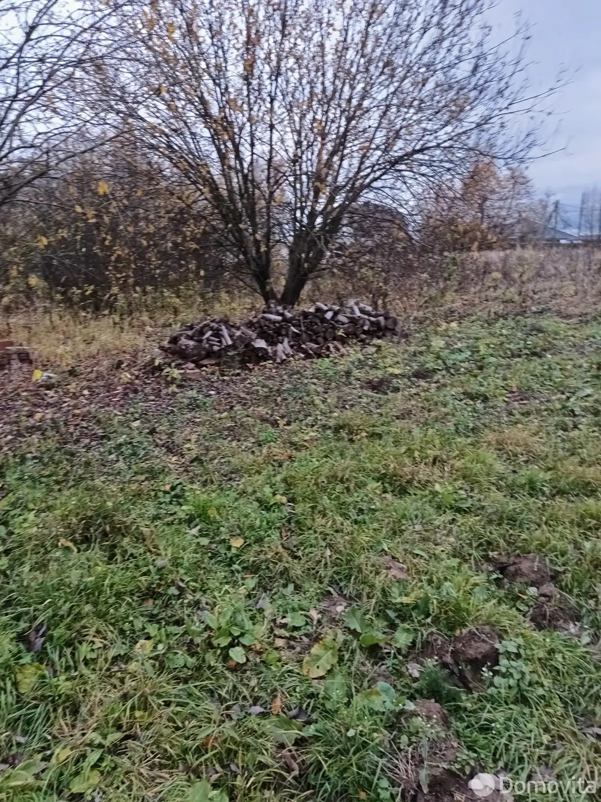 участок, Витебск, ул. 1-я Янопольская, д. 38