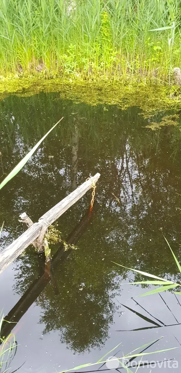 Купить земельный участок, 12 соток, Трикотаж, Витебская область, 3500USD, код 570321 - фото 20