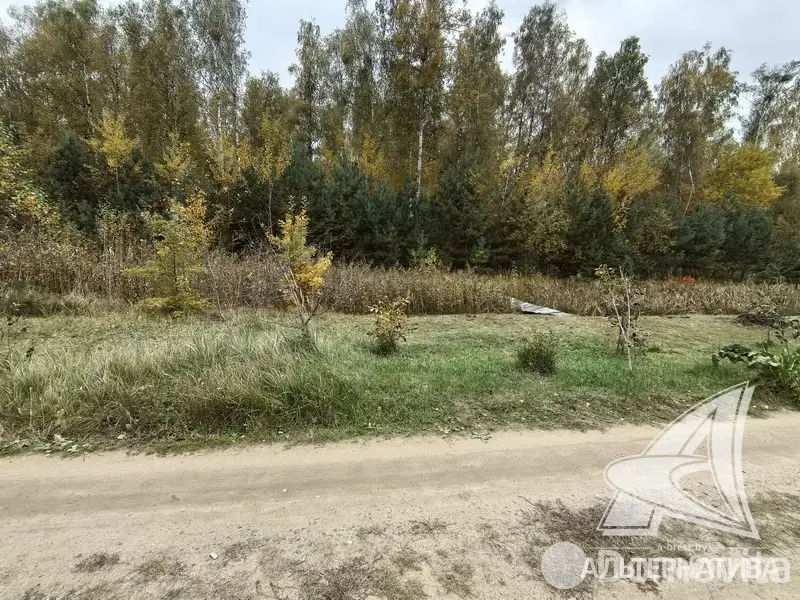 Продажа 1-этажной дачи в Березка-87 Брестская область, 13800USD, код 184383 - фото 21