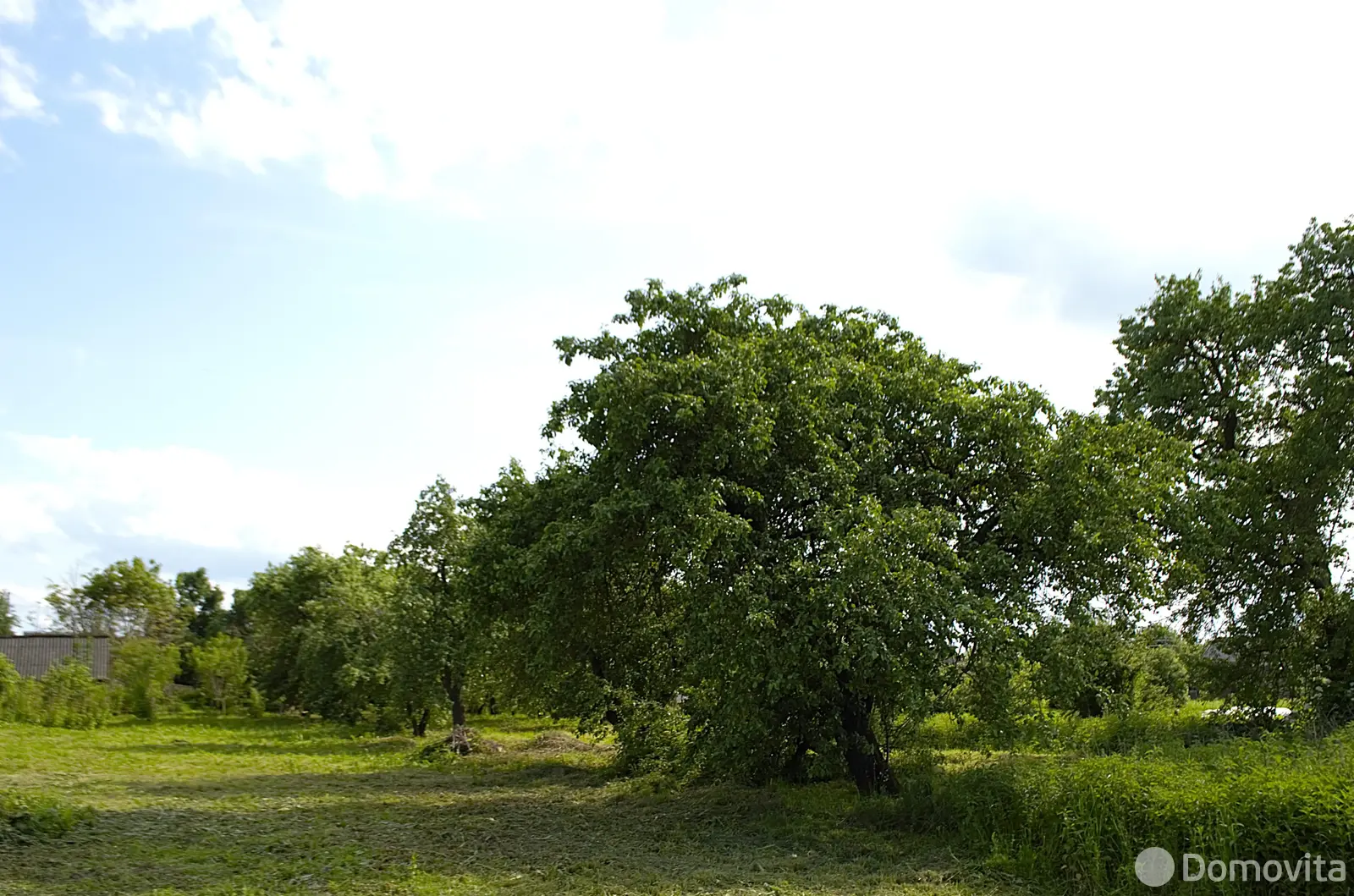 Купить земельный участок, 25 соток, Селище, Минская область, 6900USD, код 570642 - фото 17