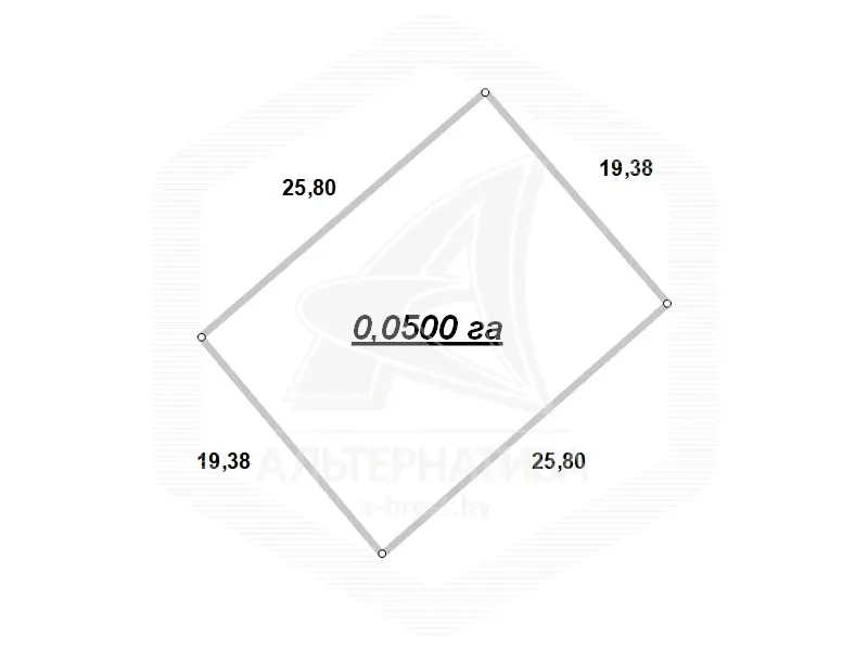 дача, Сигнал-2009, 