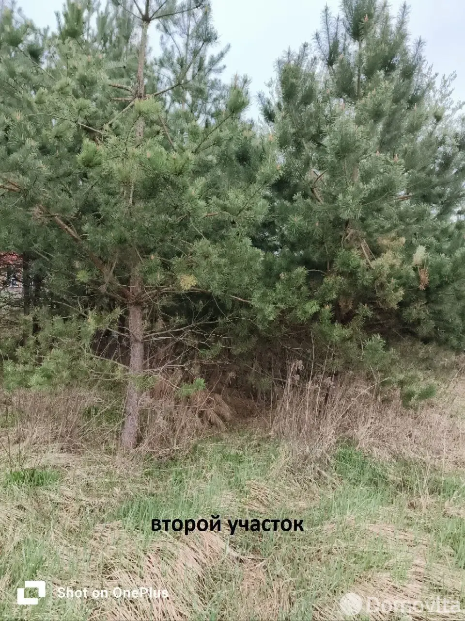 Купить земельный участок, 9 соток, Гранит-91, Минская область, 1000USD, код 570902 - фото 15