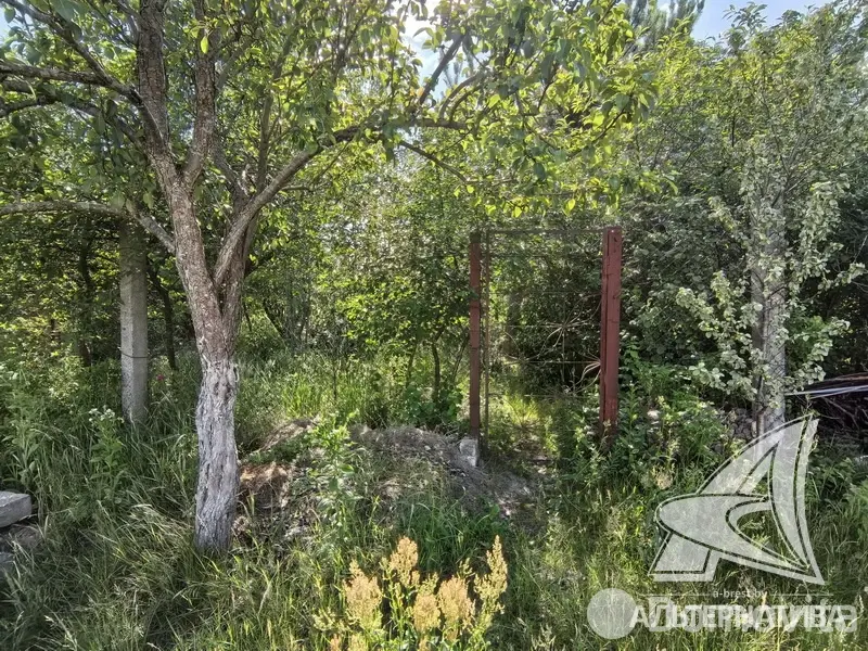 Купить 2-этажную дачу в Бресте Брестская область, 117600BYN, код 186250 - фото 39