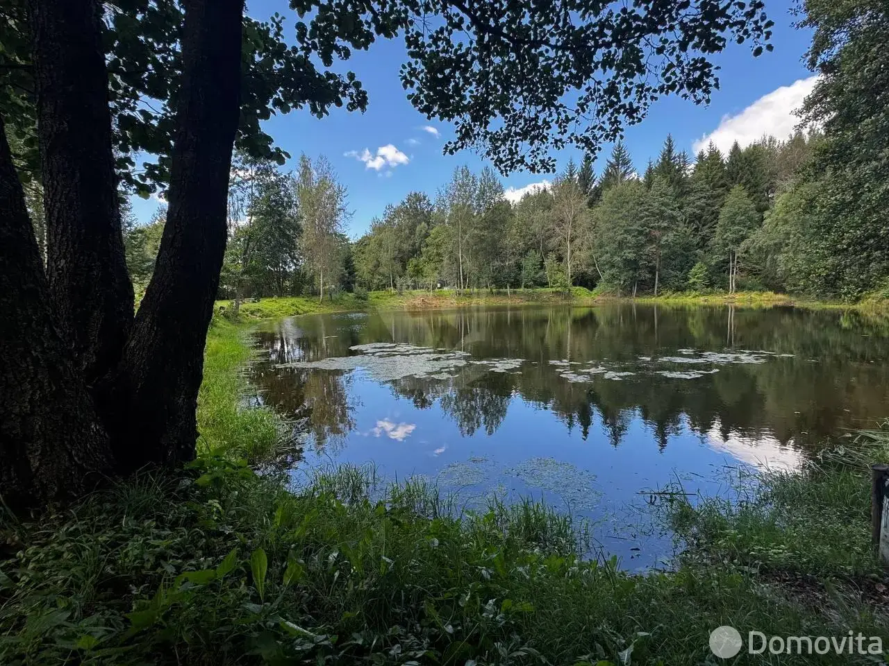Продажа 1-этажной дачи в Зенитчик Минская область, 20000USD, код 183905 - фото 29