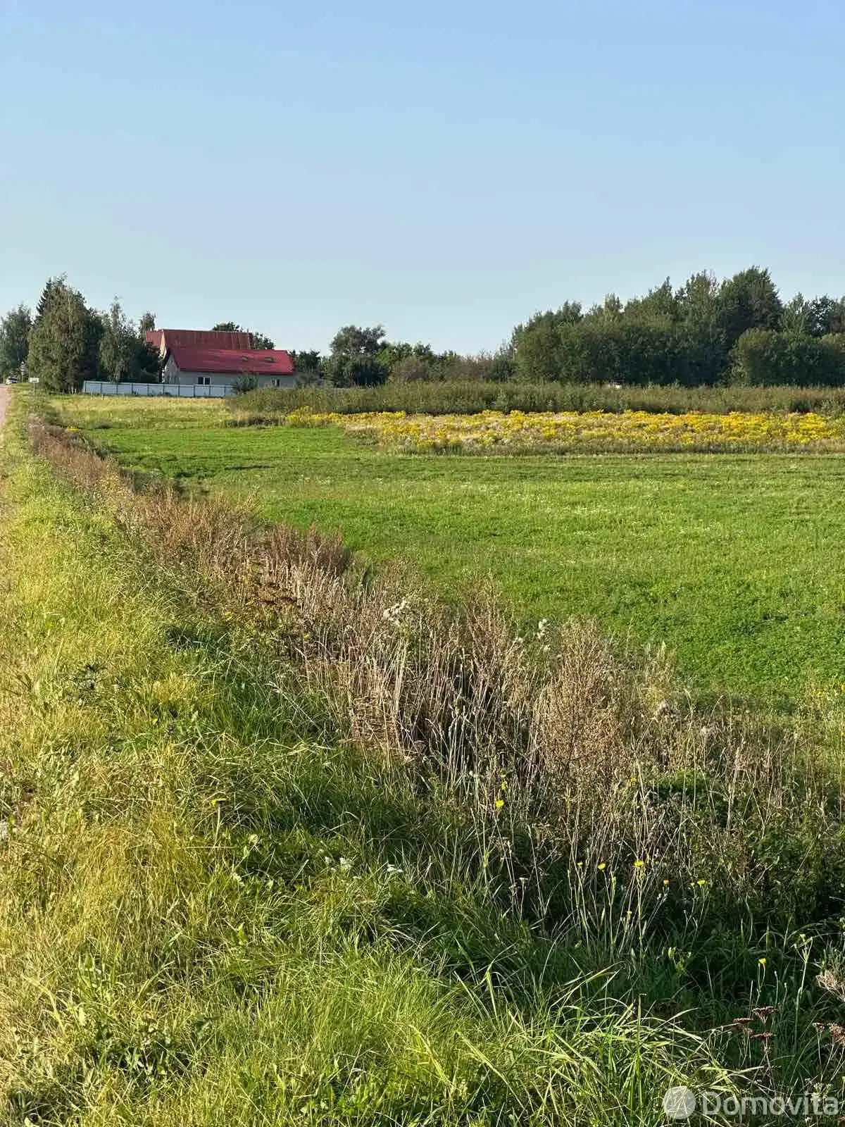 участок, Дворище,