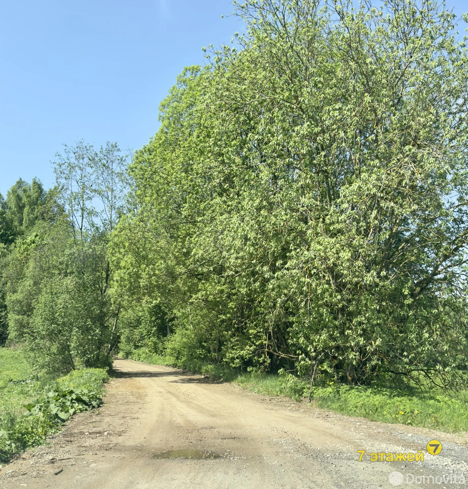 Купить 2-этажную дачу в Лесное Минская область, 92600BYN, код 184276 - фото 46