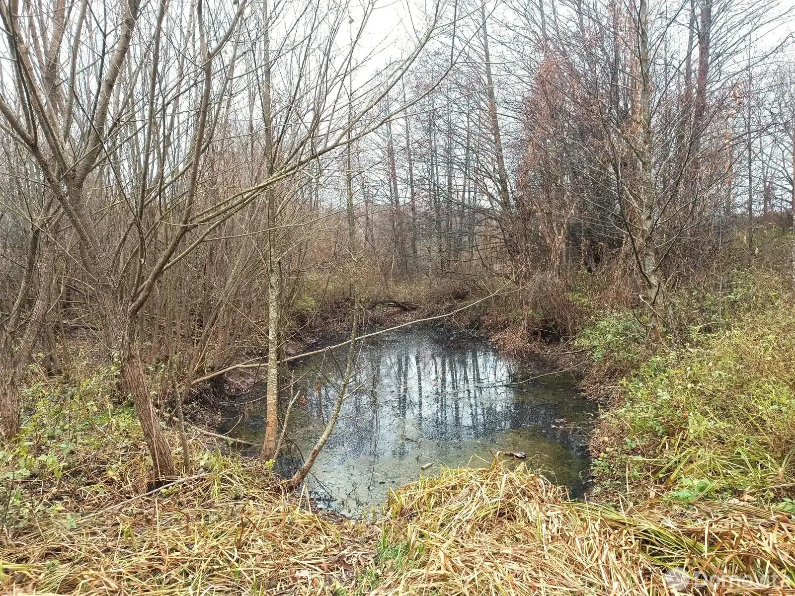 дом, Ратынцы, , стоимость продажи 124 783 р.