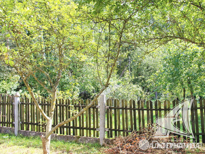 Купить 2-этажную дачу в Дубрава-6 Брестская область, 15900USD, код 162145 - фото 12