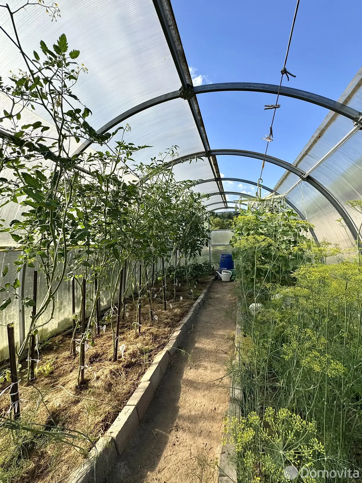 Продажа 2-этажной дачи в Ель Минская область, 33000USD, код 183695 - фото 11