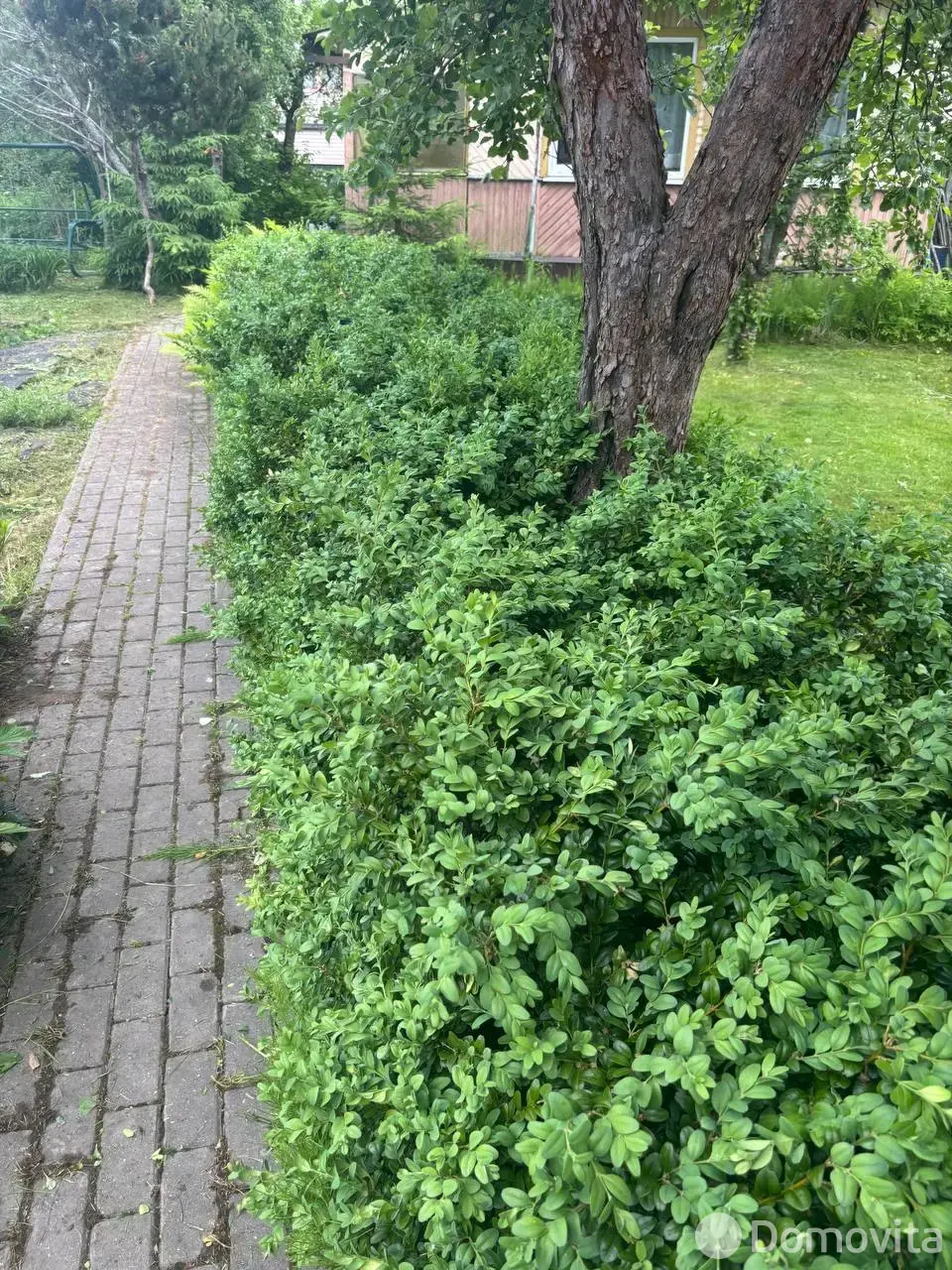 Купить 2-этажную дачу в Купалинка-Вязынка Минская область, 16000USD, код 186147 - фото 21