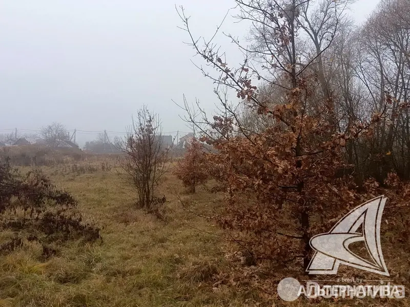 участок, Ивахновичи, , стоимость продажи 31 996 р.