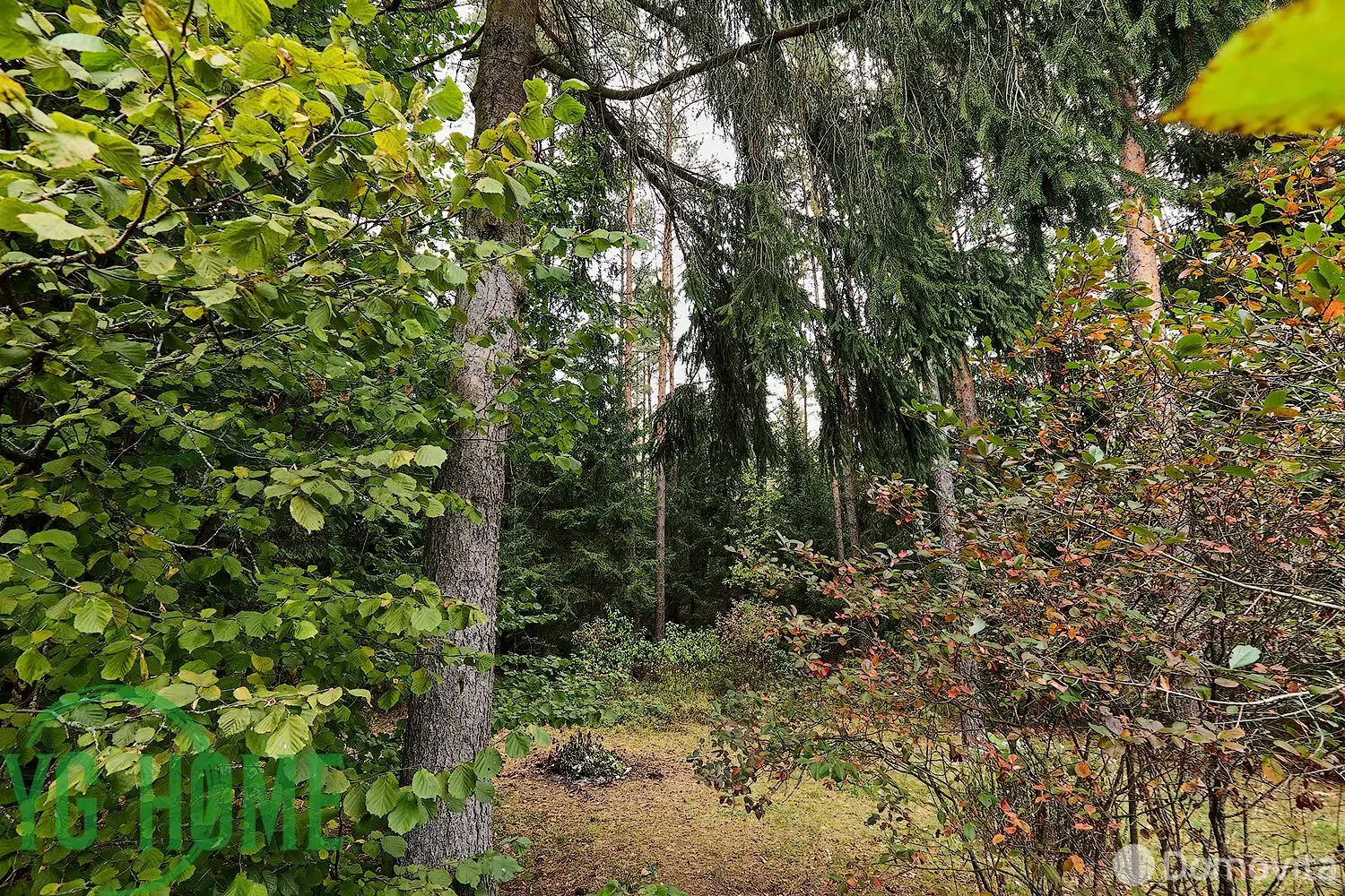 Продажа 3-этажной дачи в Зеленой Поляне Гомельская область, 39900USD, код 184306 - фото 33