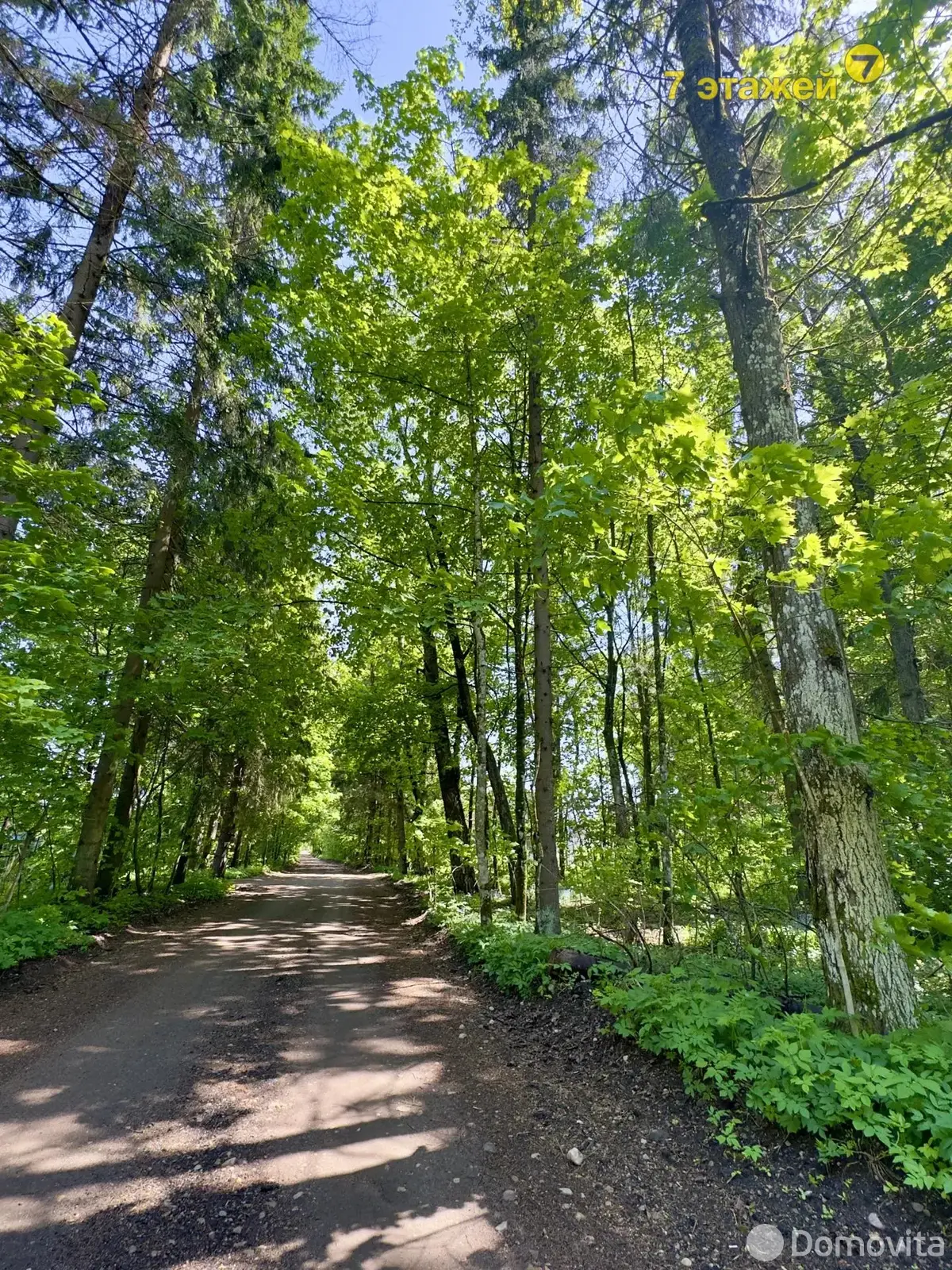 Купить 2-этажную дачу в Лесное Минская область, 92600BYN, код 184276 - фото 49