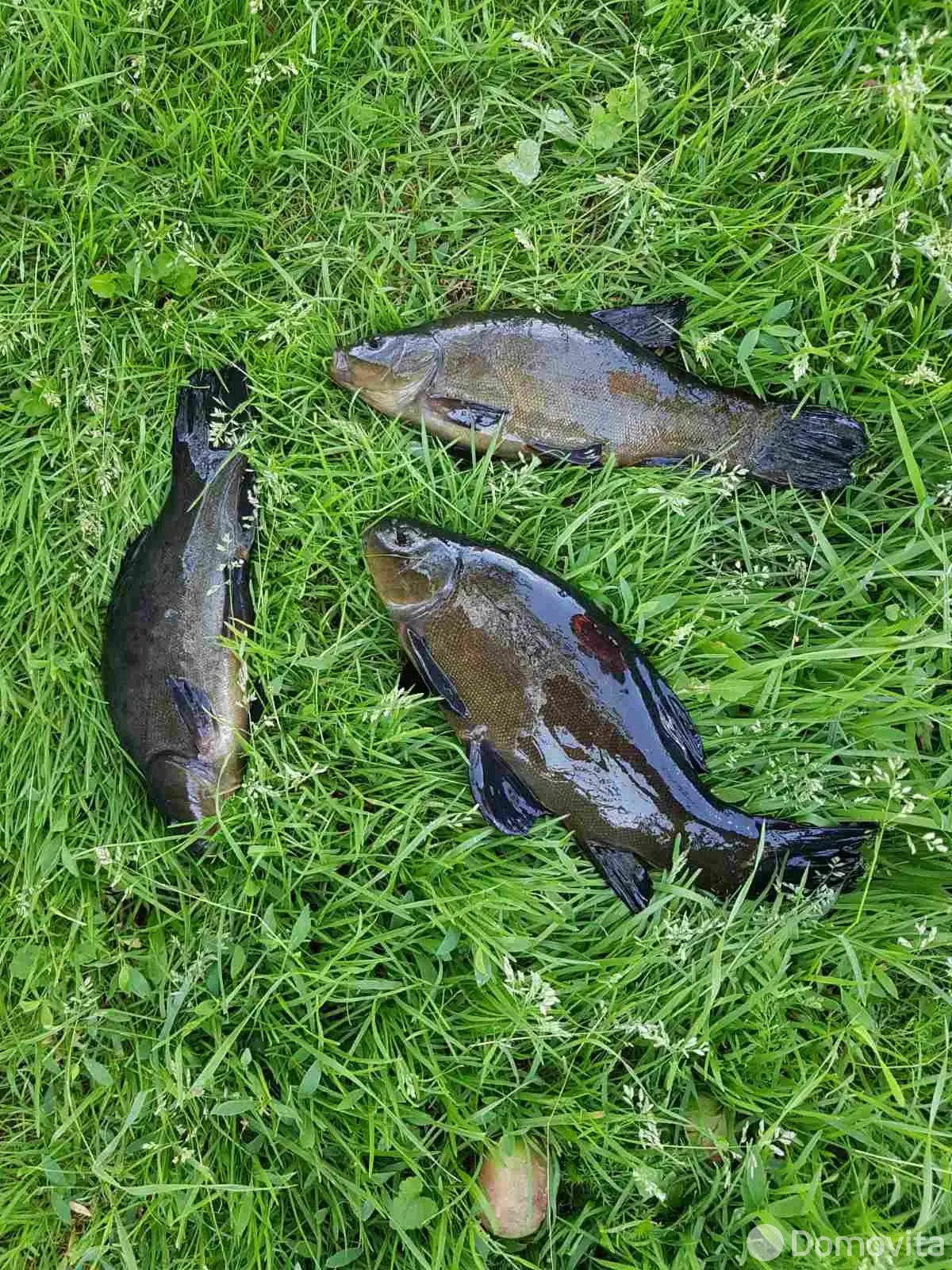 продажа дома, Потино, 