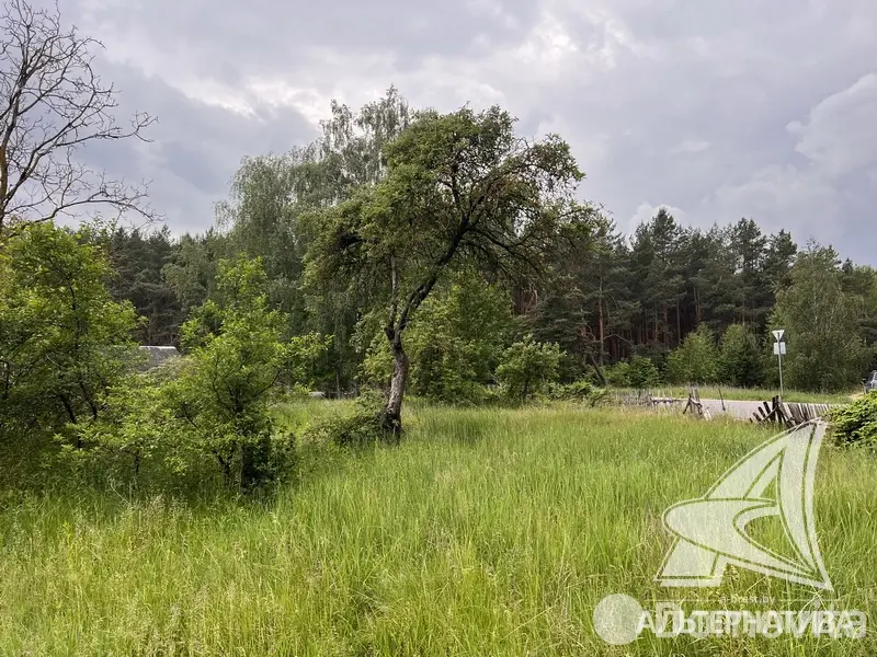 Купить земельный участок, 25 соток, Гули, Брестская область, 44000USD, код 570142 - фото 13