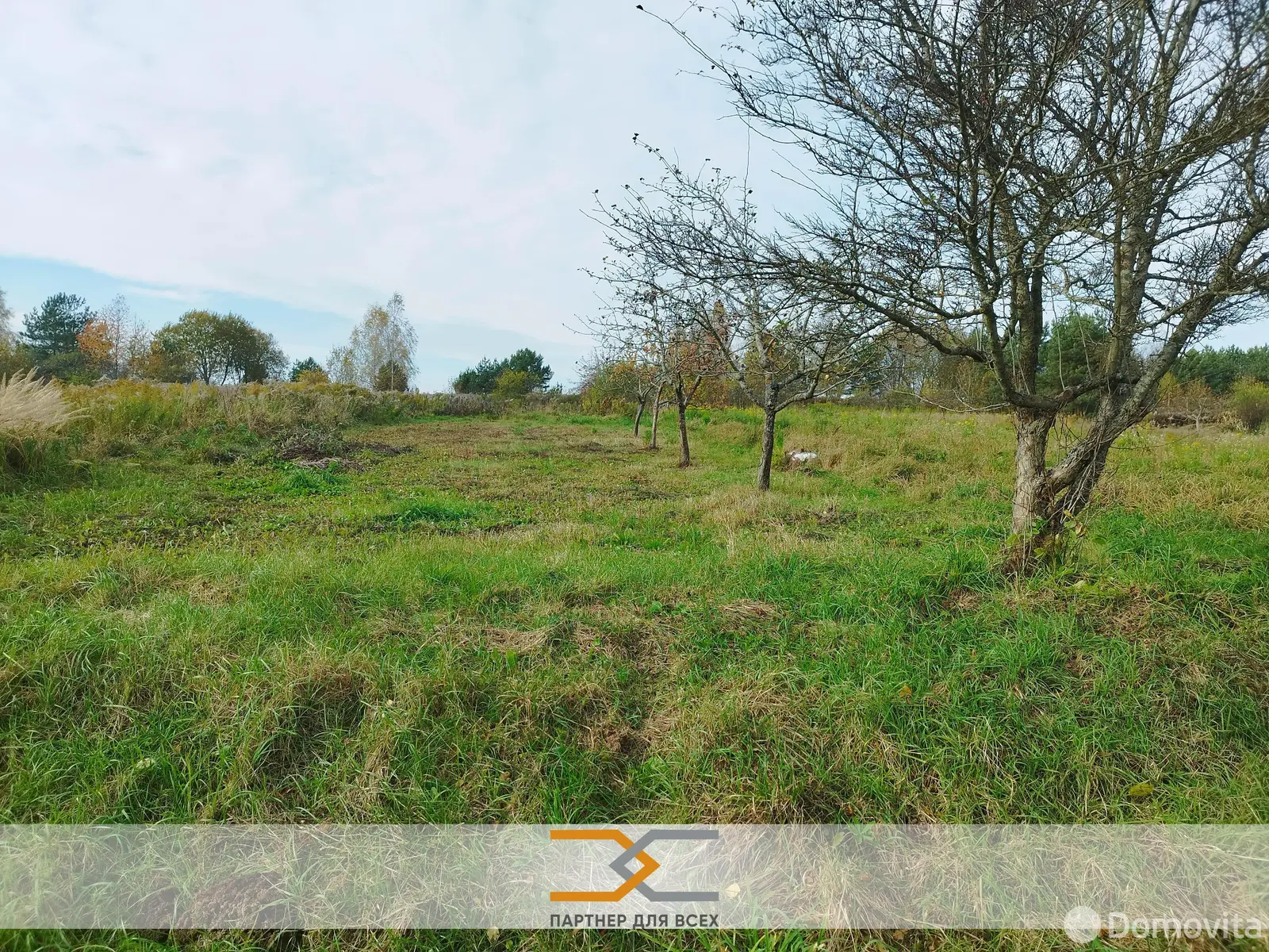 Стоимость продажи дачи, СЯБРЫ-83, 