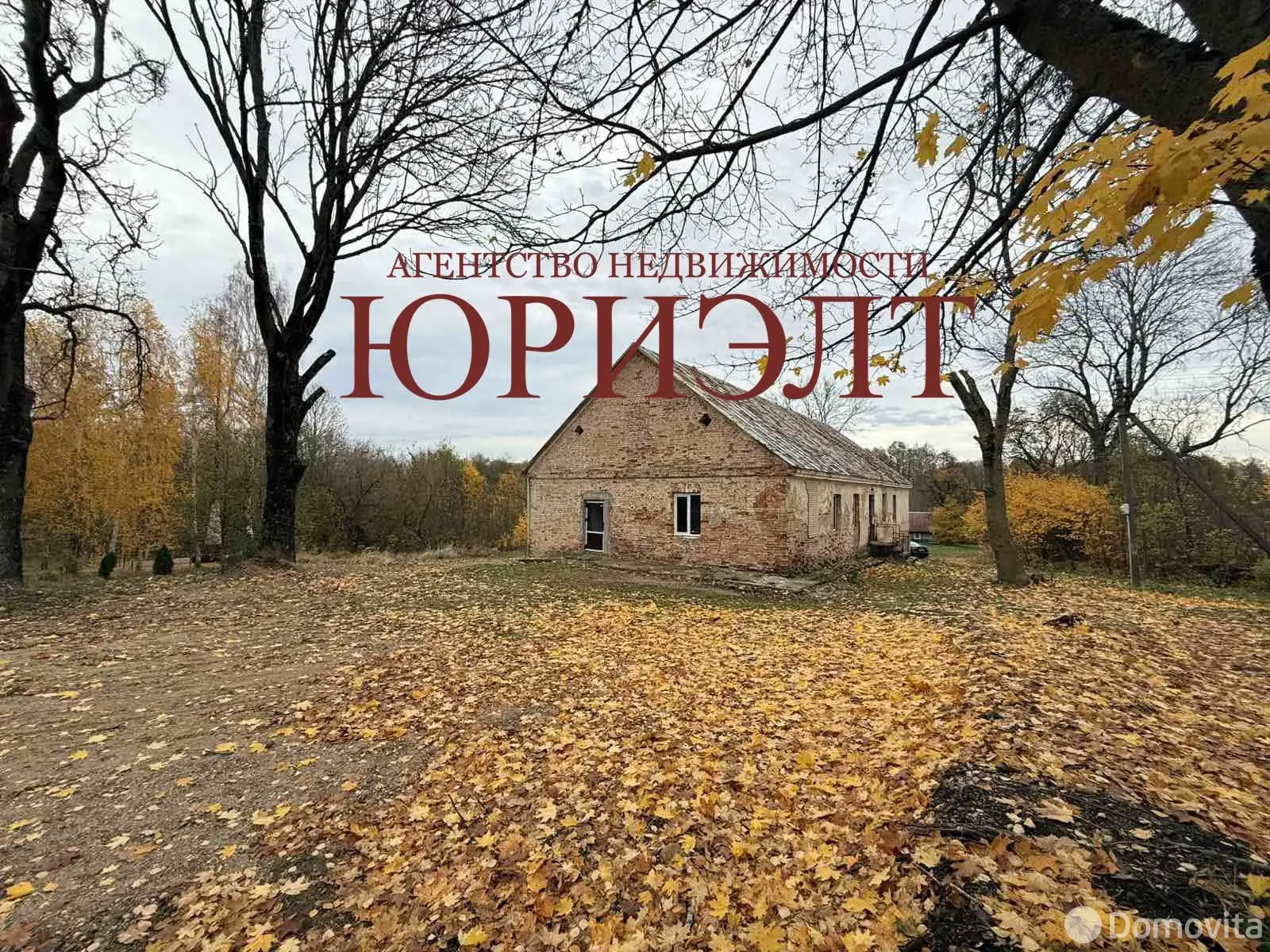 офис, Василевичи, ул. Центральная