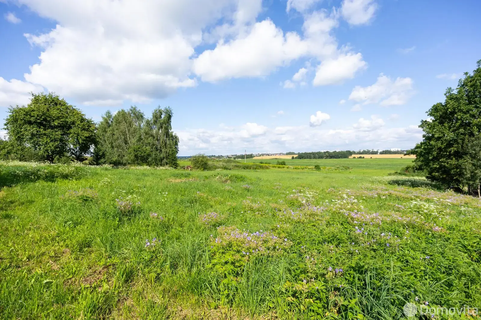 участок, Новинка, - лучшее предложение