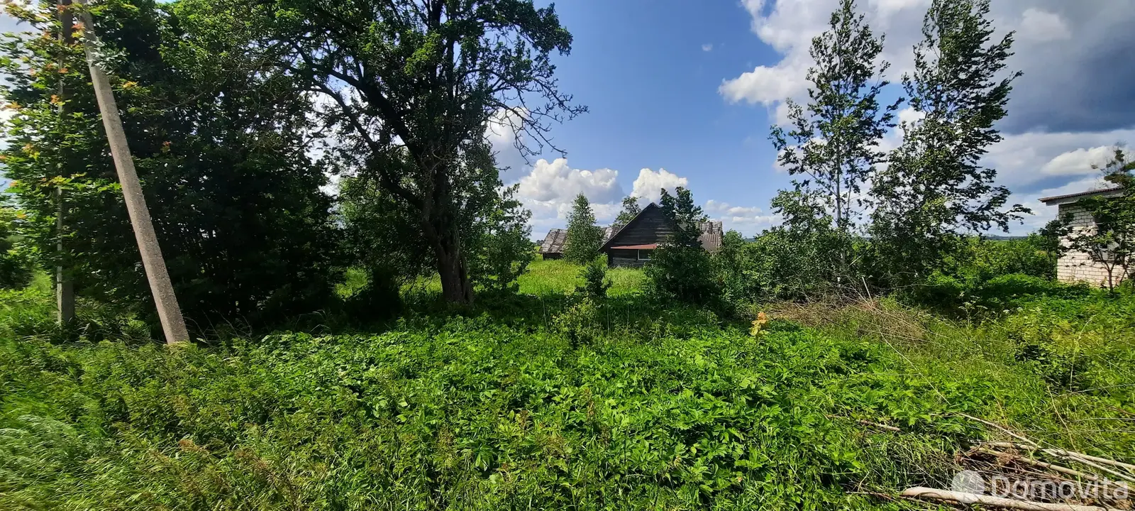 Купить земельный участок, 25 соток, Телядовичи, Минская область, 4000USD, код 570698 - фото 12