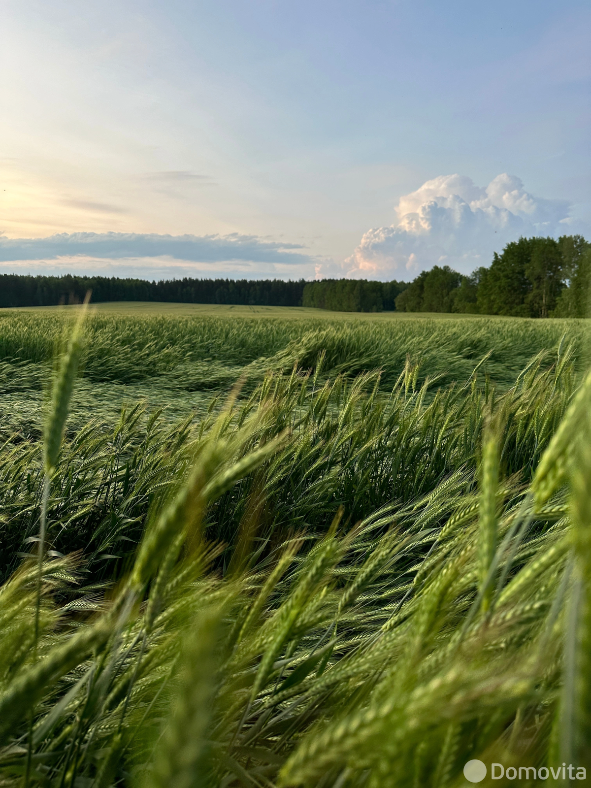 коттедж, Шеметово, ул. Соловьиная