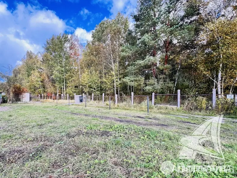 Продажа 1-этажной дачи в Полиграфист-82 Брестская область, 36000USD, код 184416 - фото 32