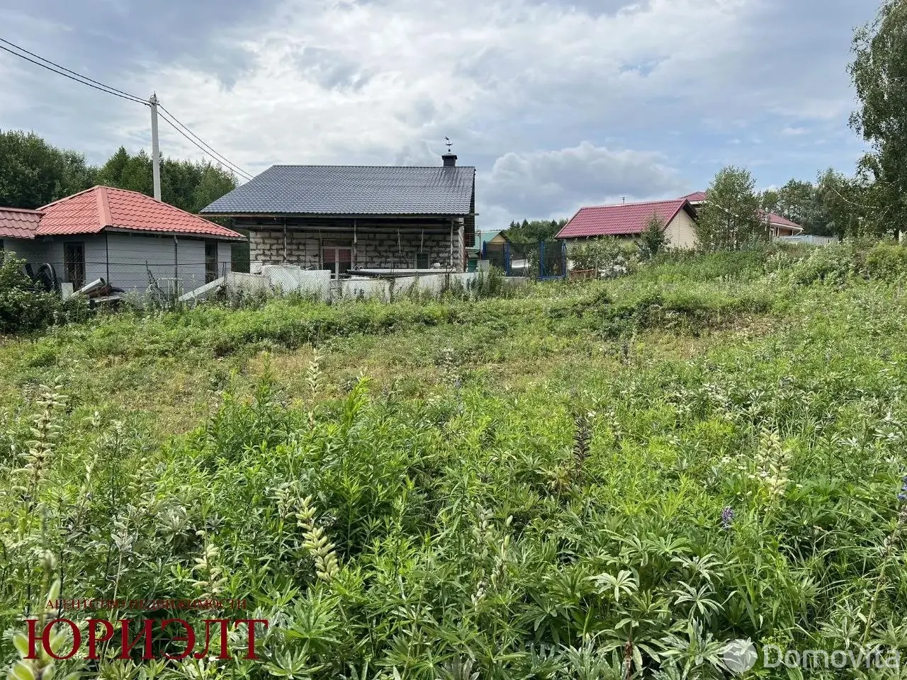 участок, Птичь-2, 