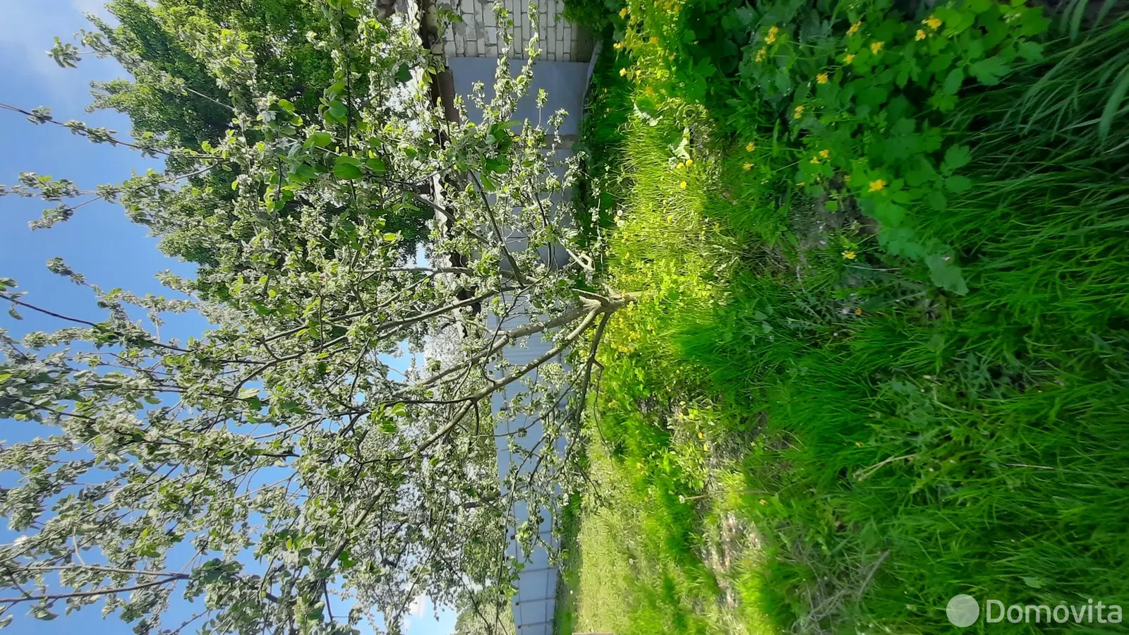 дом, Гомель, ул. Крупской