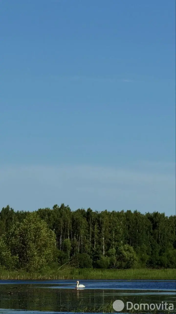 дом, Людвиново, ул. Белорусская