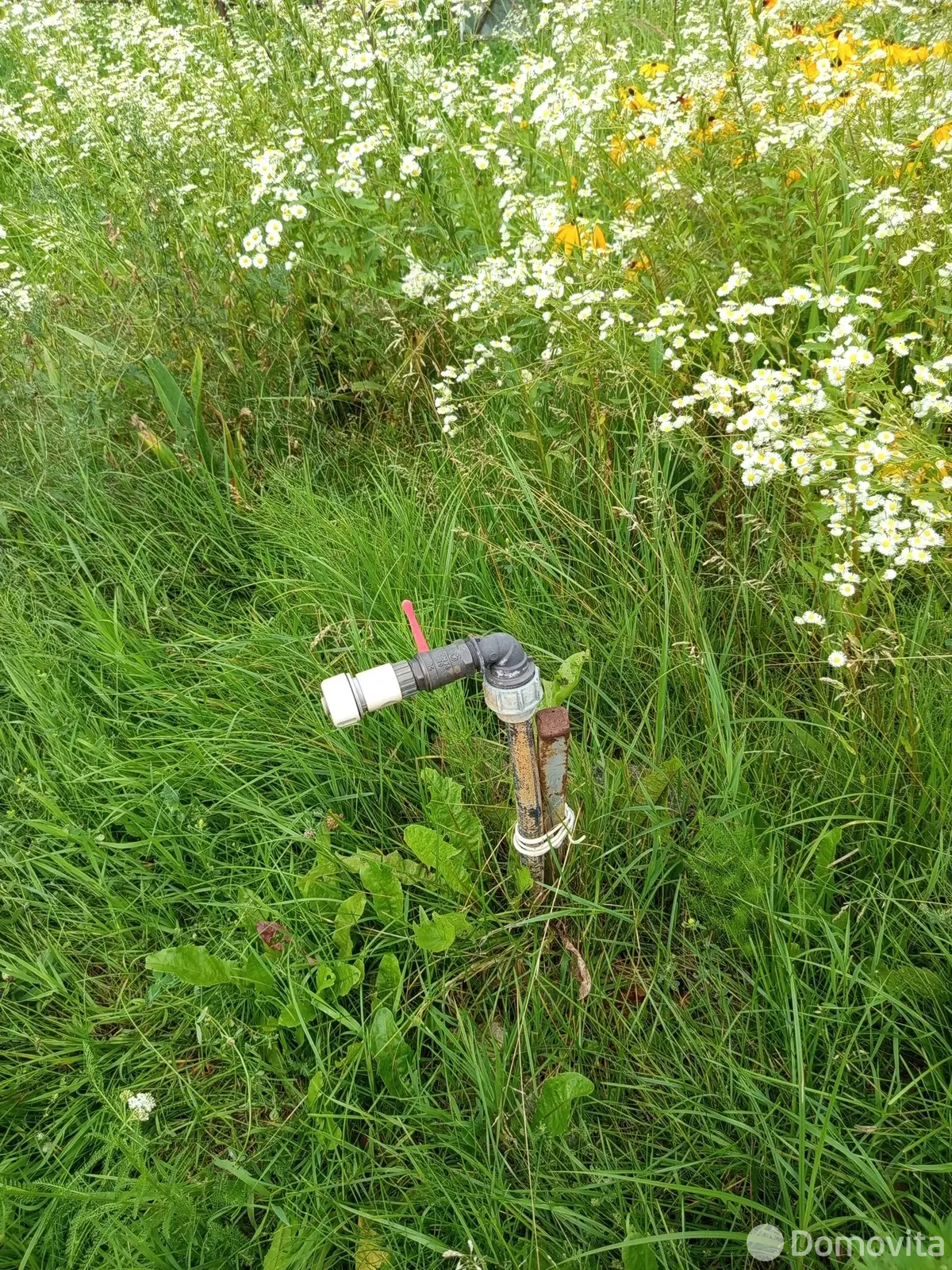 Купить 2-этажную дачу в Кринице Минская область, 9000USD, код 184608 - фото 19