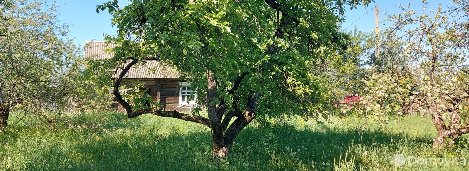Купить земельный участок, 25 соток, Листопадовичи, Минская область, 14900USD, код 568155 - фото 5