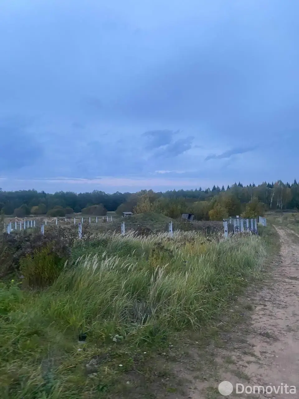 объект сферы услуг, Бобры, 