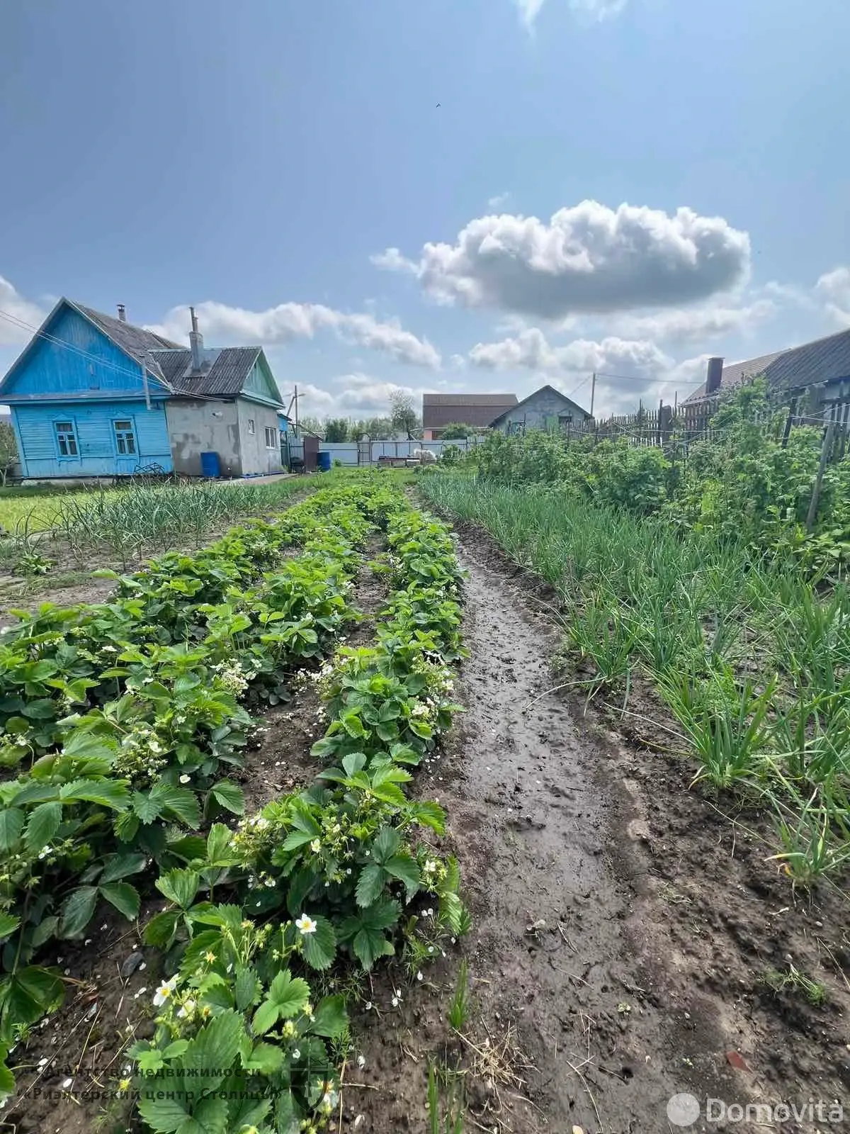 продажа коттеджа, Фаниполь, ул. Ленина, д. 12