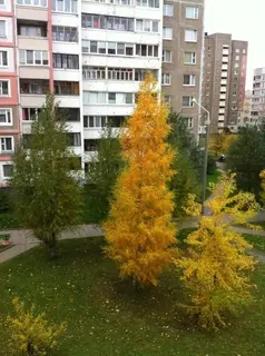 Комната, Минск, ул. Максима Горецкого, д. 19