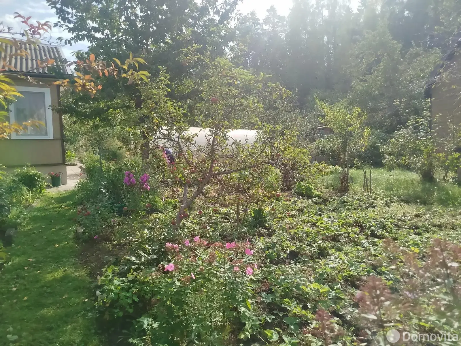 Продажа 1-этажной дачи в Сосны-Сад Минская область, 26000USD, код 184094 - фото 12