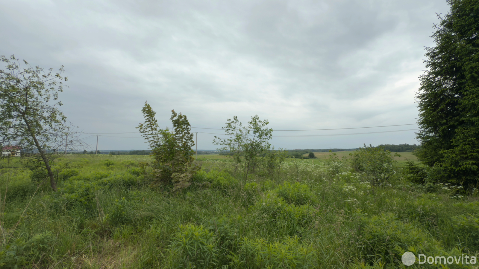 участок, Кривое Село, ул. Центральная